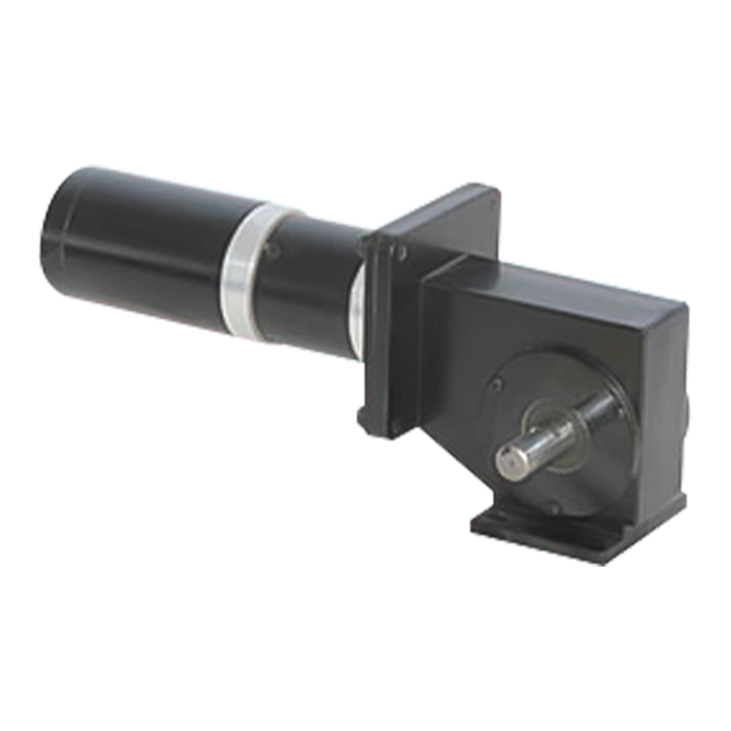 90JW/60JX/60ZY Geborstelde wormwielmotor met hoge overbrengingsverhouding en permanente magneet