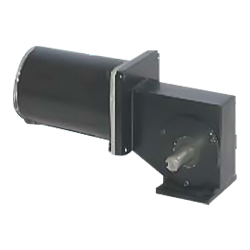 90JW / 83ZY125 2000-3000 RPM permanente magneet geborstelde wormwielmotor