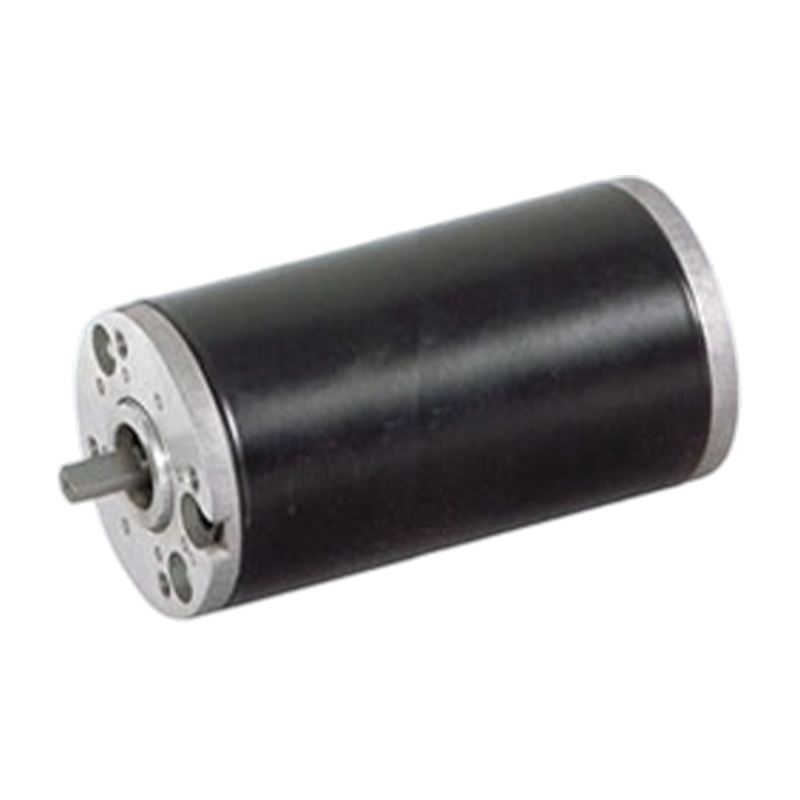 63ZY125 63 mm geborstelde gelijkstroommotor met hoog beschermingsniveau en permanente magneet